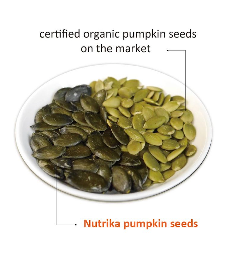 Certified Organic Pumpkin Seeds
